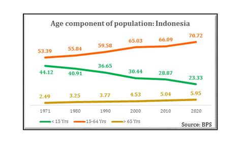 indonesia population 2020 in crore